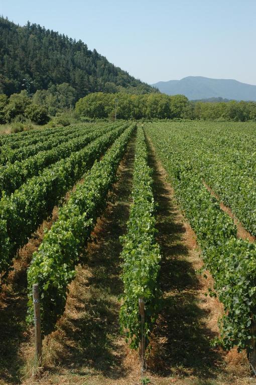 Agriturismo Casteldelpiano Licciana Nardi Екстериор снимка